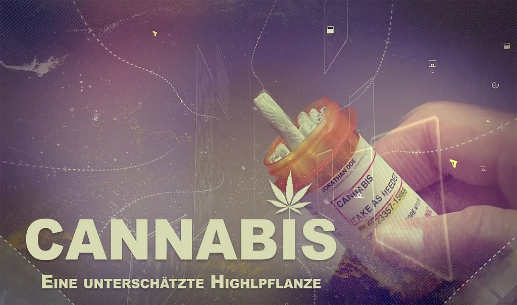 Cannabis – Eine unterschätzte Highlpflanze